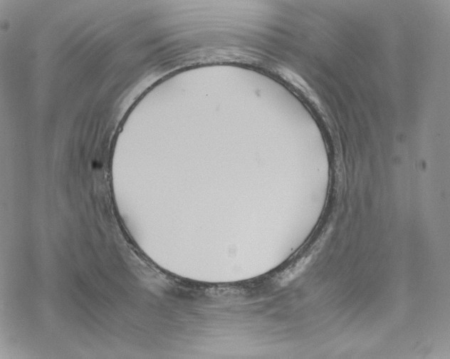 X0000069391089200606091710