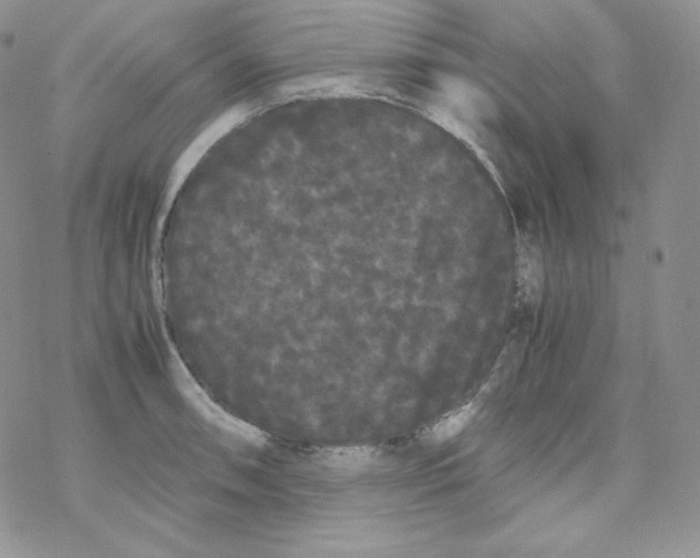 X0000069391090200606091710