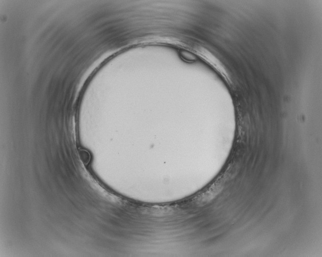 X0000069391092200606091710