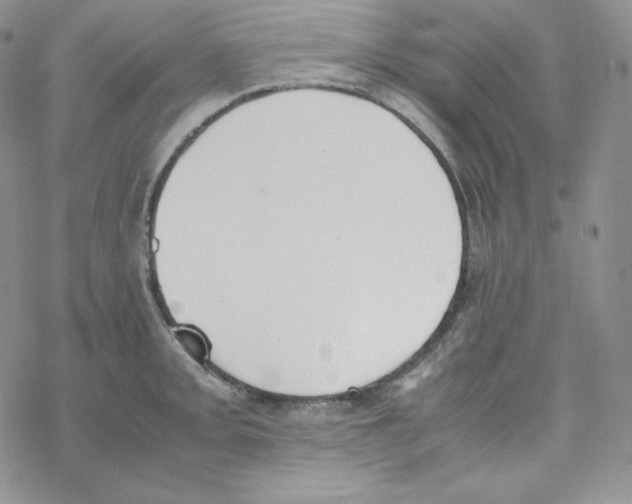 X0000069391093200606091710