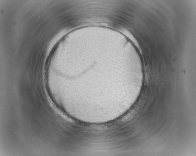 X0000069391096200606091710