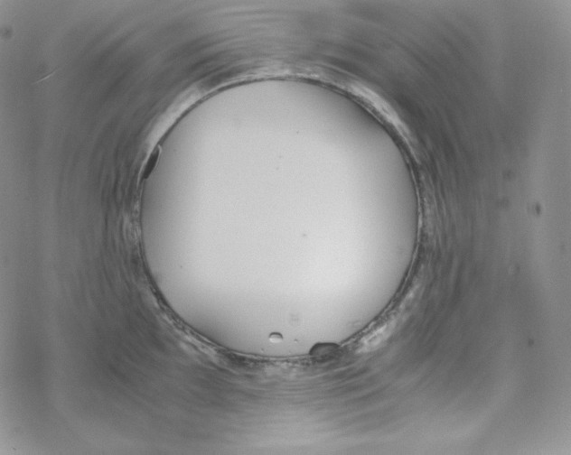 X0000069391097200606091710