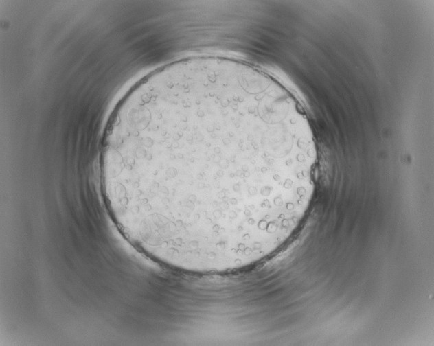 X0000069391100200606091710