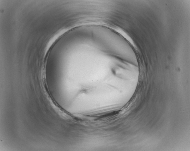 X0000069391101200606091710