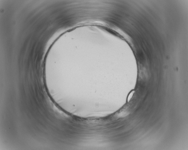 X0000069391102200606091710