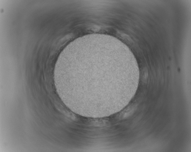 X0000069391105200606091709