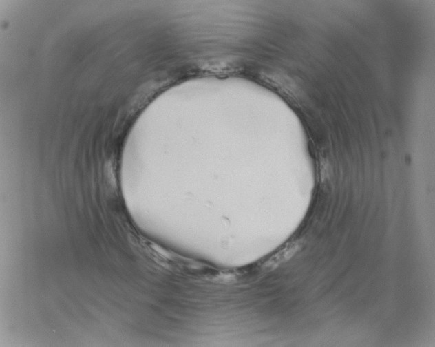 X0000069391106200606091709