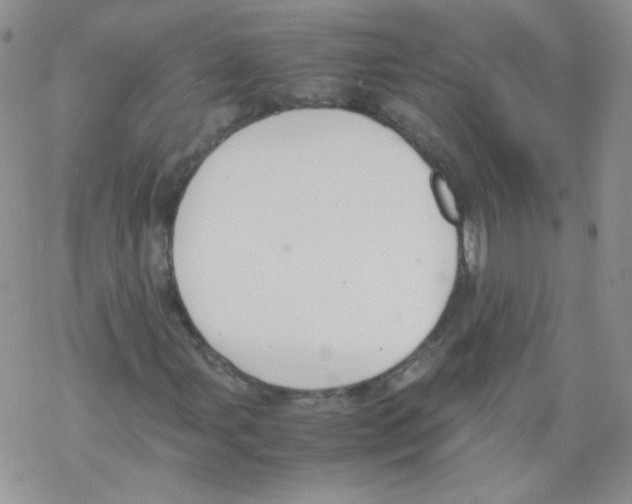 X0000069391107200606091709