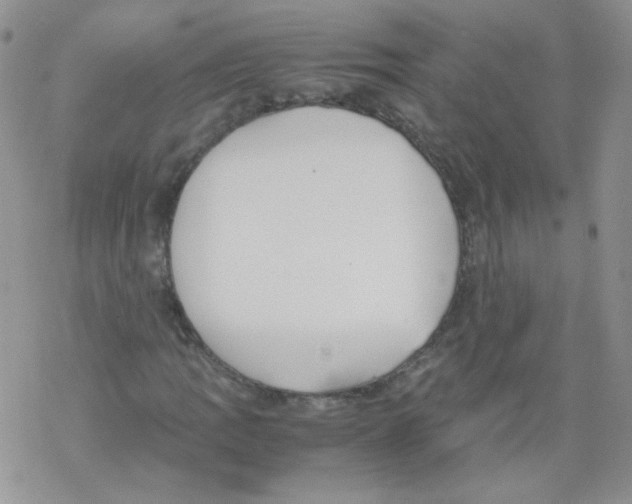 X0000069391109200606091709