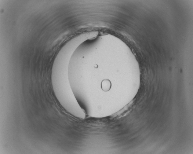 X0000069391110200606091709