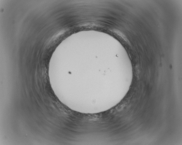 X0000069391111200606091709