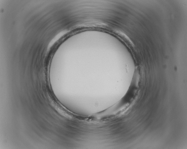 X0000069391114200606091709