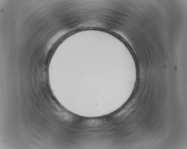 X0000069391115200606091710