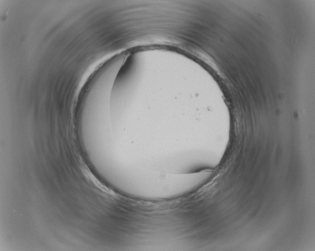 X0000069391116200606091710