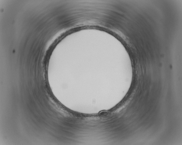 X0000069391118200606091710