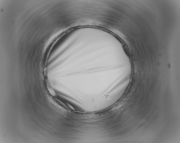 X0000069391120200606091710