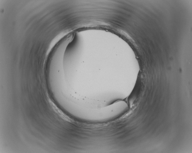 X0000069391122200606091710