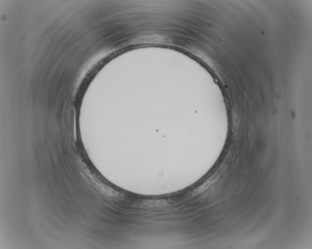 X0000069391123200606091710