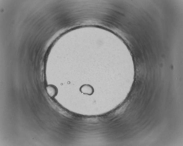 X0000069391126200606091710