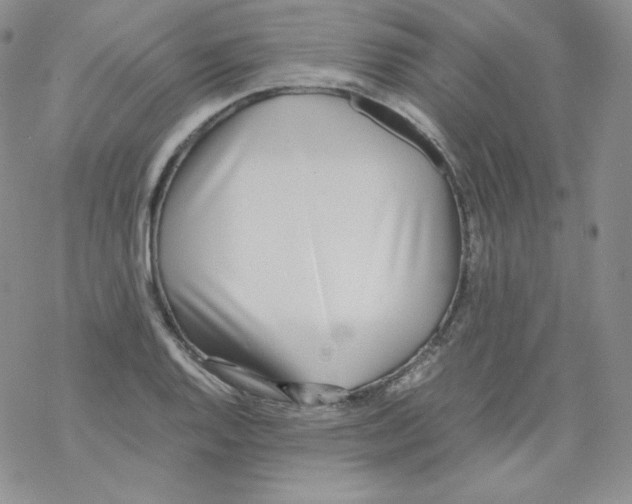 X0000069391128200606091710