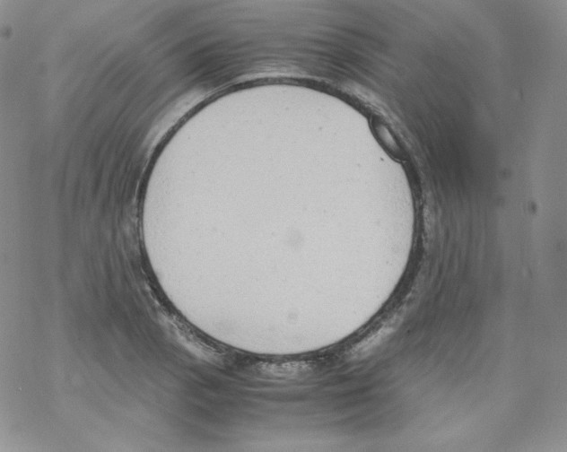 X0000069391129200606091710