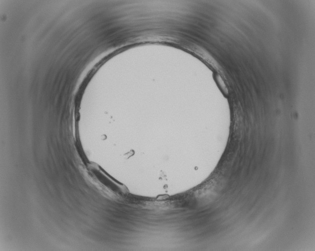 X0000069391132200606091710