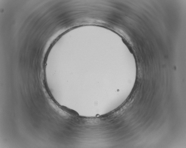 X0000069391136200606091710