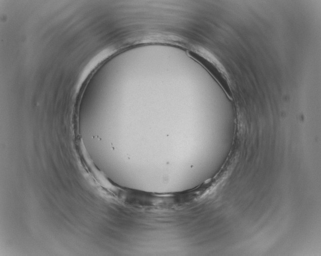 X0000069391138200606091710