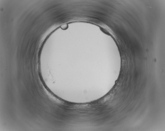 X0000069391143200606091710