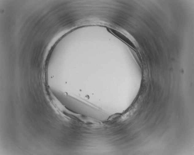 X0000069391144200606091710