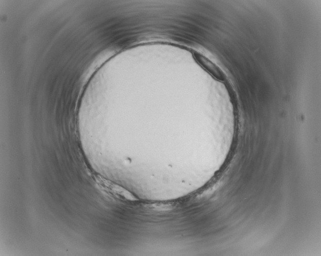 X0000069391145200606091710