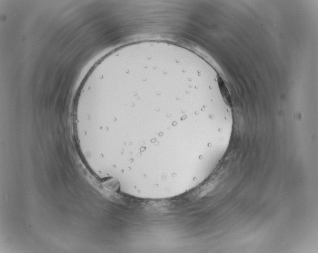 X0000069391148200606091710