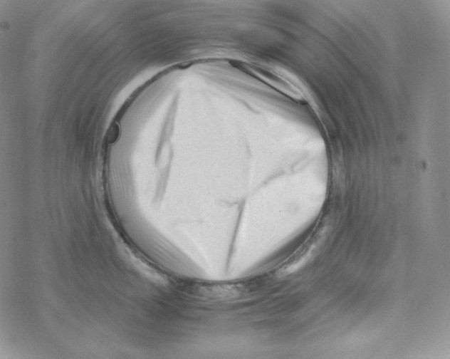 X0000069391149200606091710