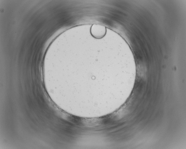 X0000069391150200606091710