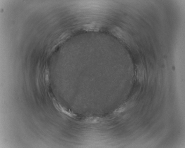 X0000069391154200606091709