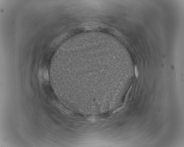 X0000069391155200606091709