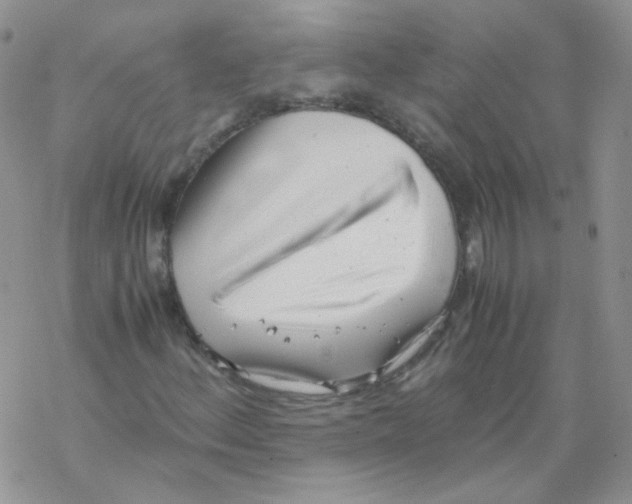 X0000069391156200606091709