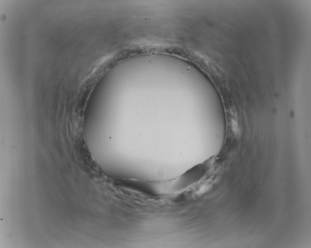 X0000069391157200606091709