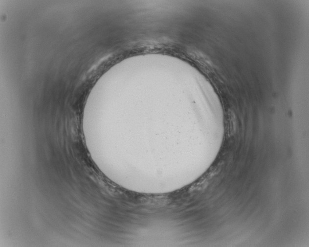 X0000069391158200606091709