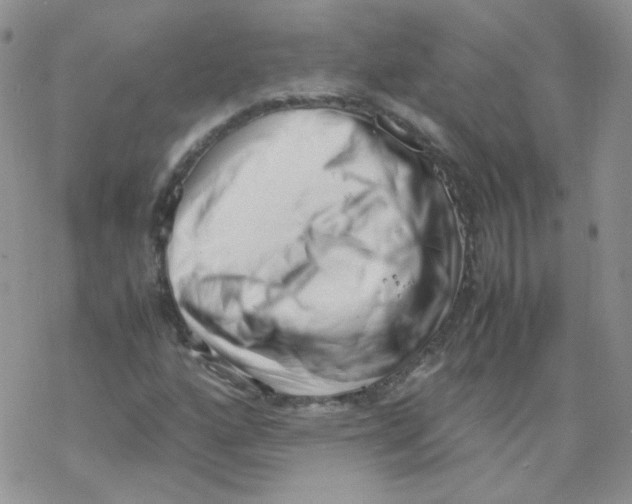 X0000069391160200606091709