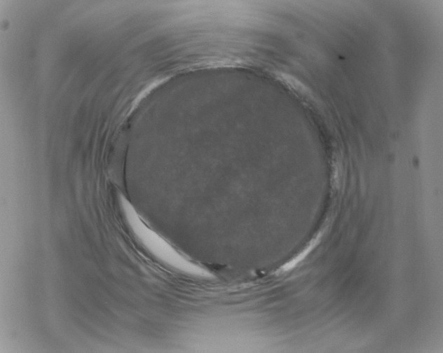 X0000069391161200606091709