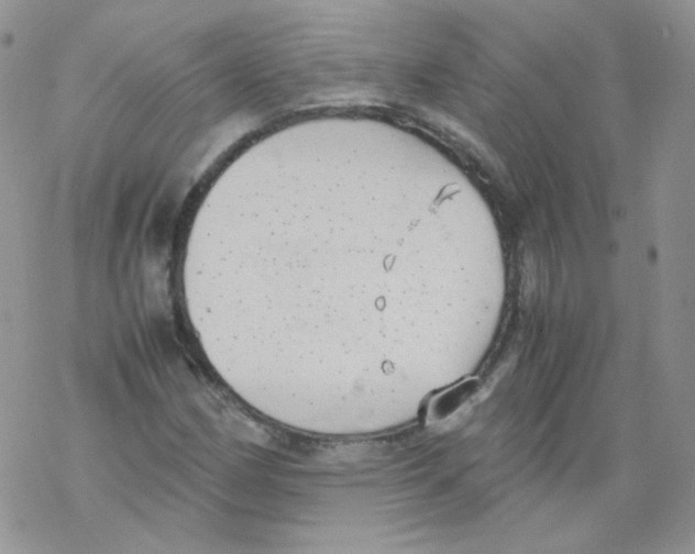 X0000069391162200606091709