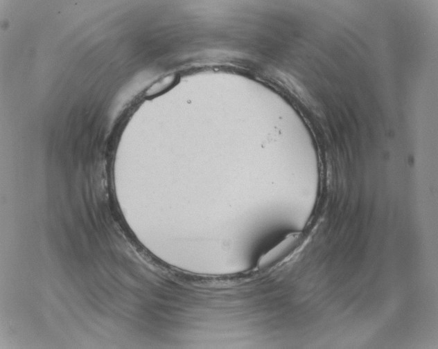 X0000069391164200606091709