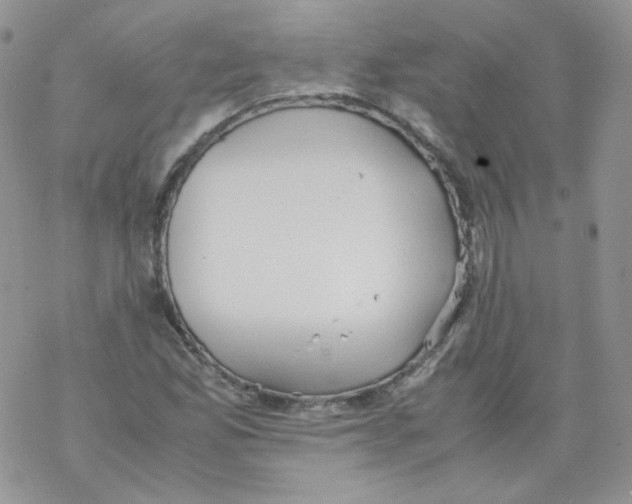 X0000069391165200606091709