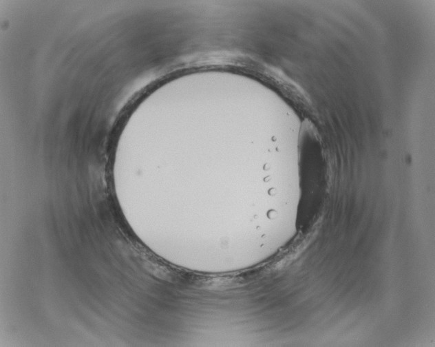 X0000069391166200606091709