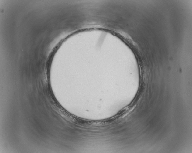 X0000069391167200606091709