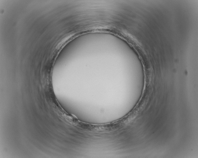 X0000069391169200606091709