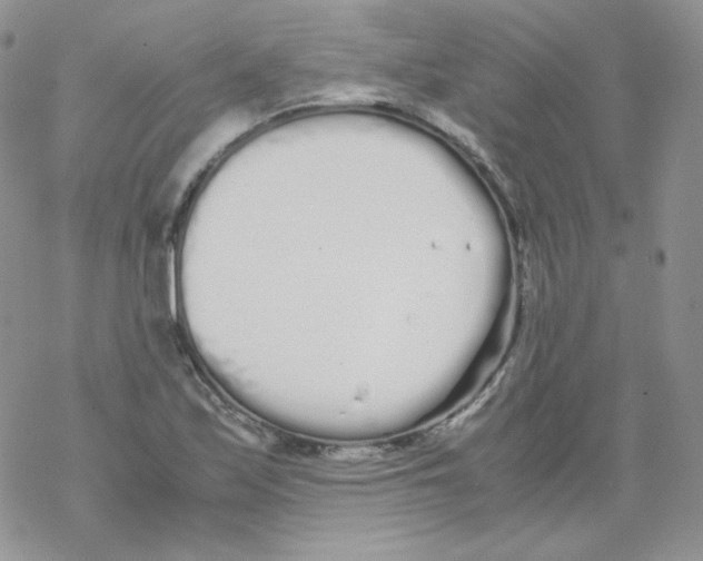 X0000069391171200606091709