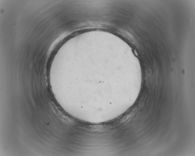 X0000069391172200606091709