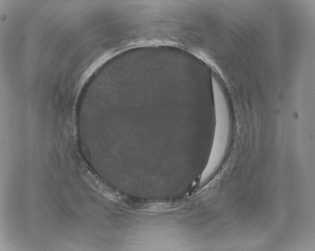 X0000069391173200606091709